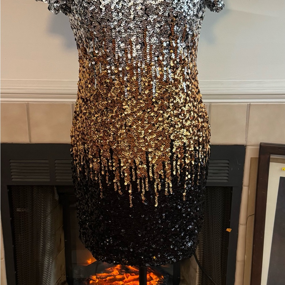 Maner Multi Color Sequin Off Party Formal Dress
Size: Large